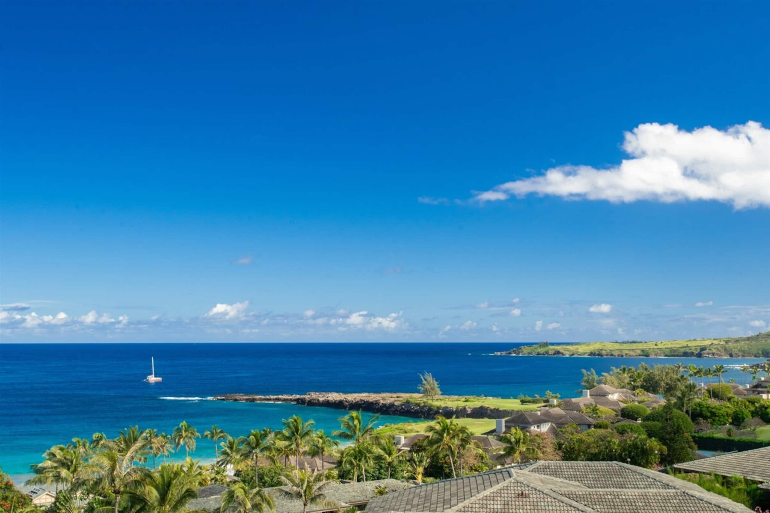 Villa in Lahaina · ★4.97 · 3 bedrooms · 7 beds · 3 baths - Image 28