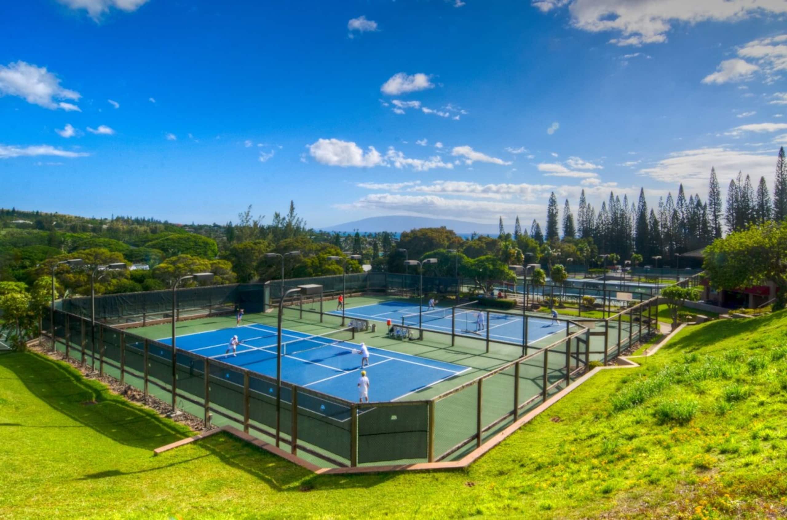 Villa in Lahaina · ★4.97 · 3 bedrooms · 7 beds · 3 baths - Image 71