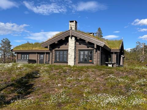Amazing new and big dream cabin at Veggli