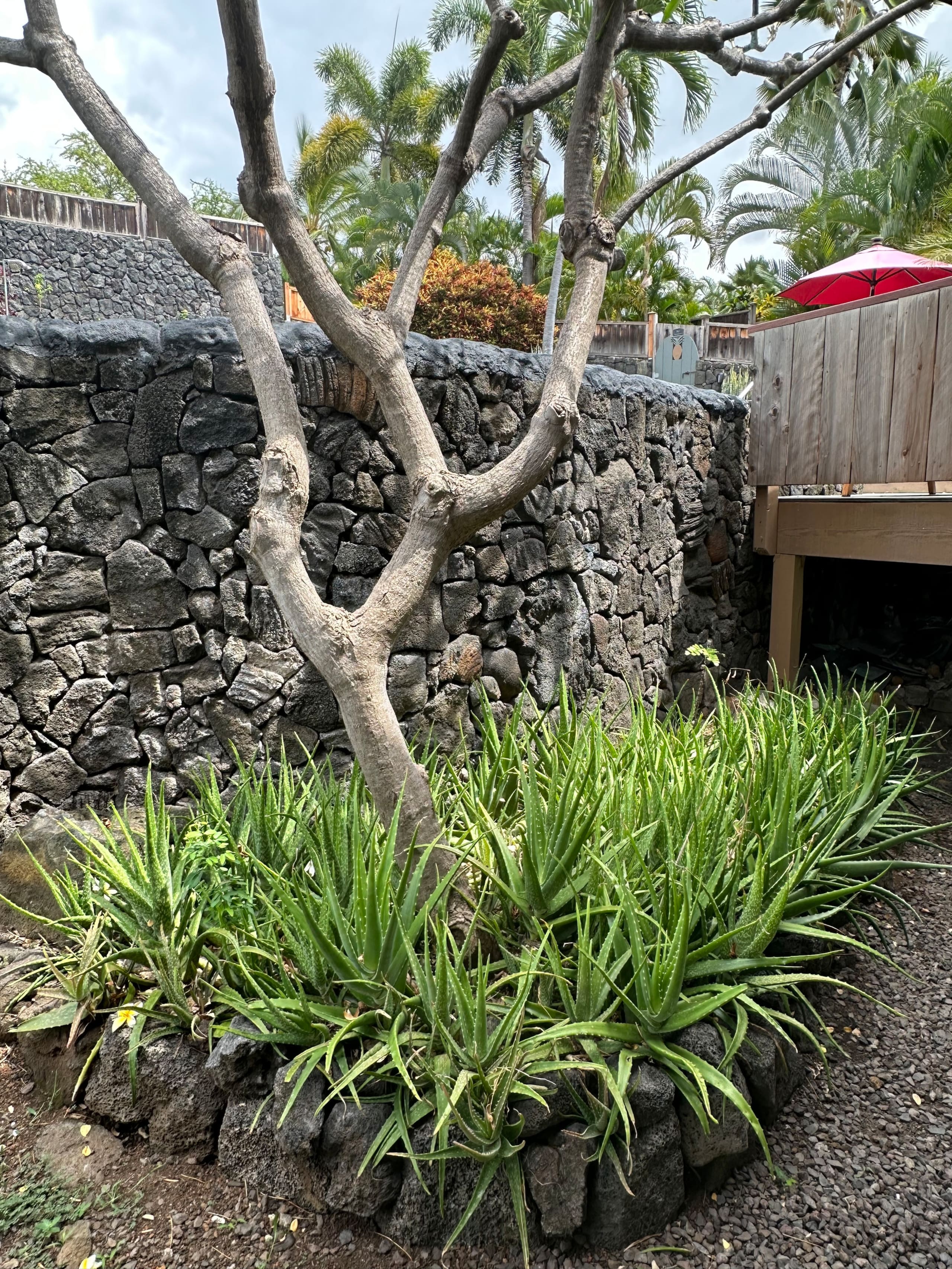 Home in Kailua-Kona · ★4.97 · 2 bedrooms · 2 beds · 3 baths - Image 35