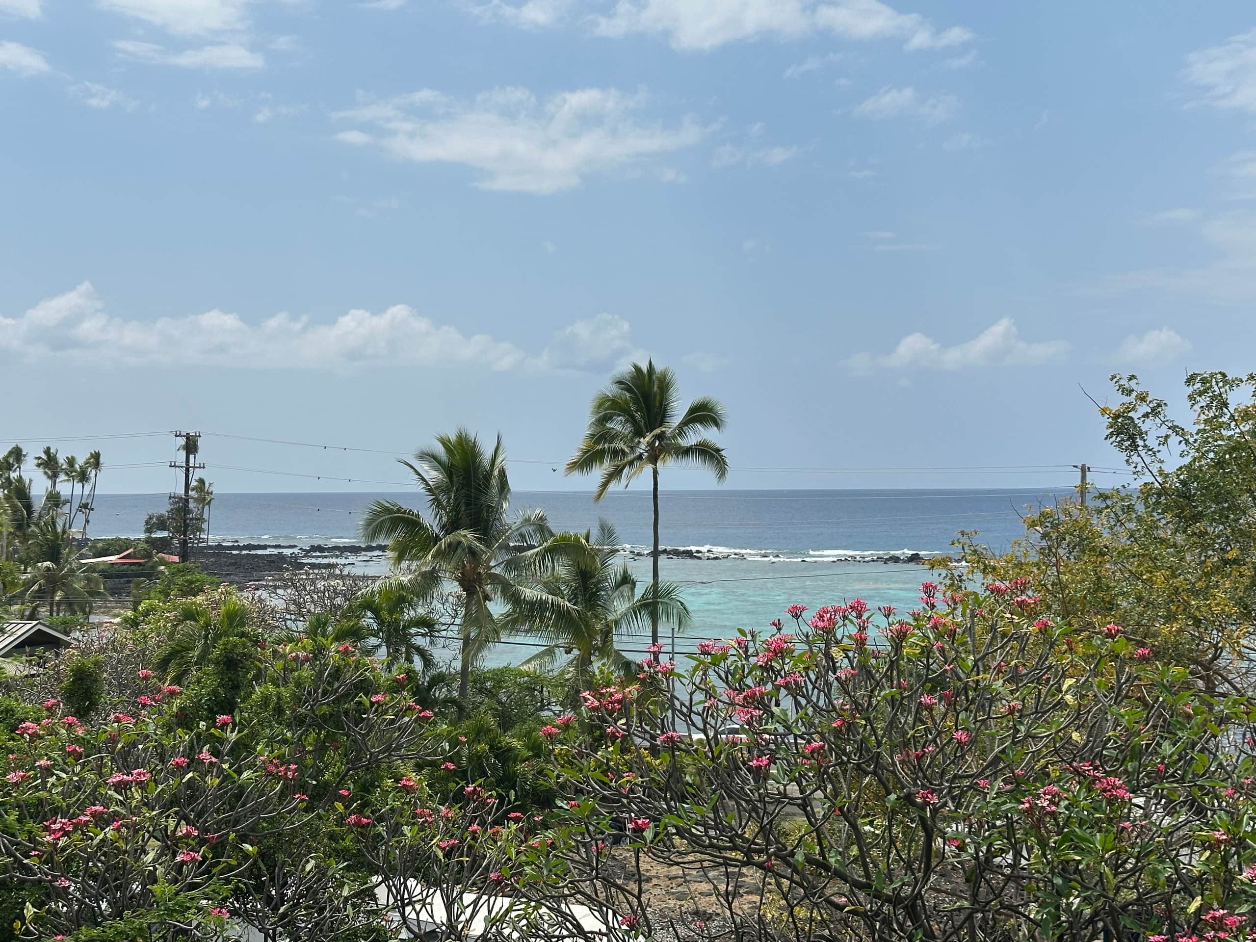Home in Kailua-Kona · ★4.97 · 2 bedrooms · 2 beds · 3 baths - Image 42