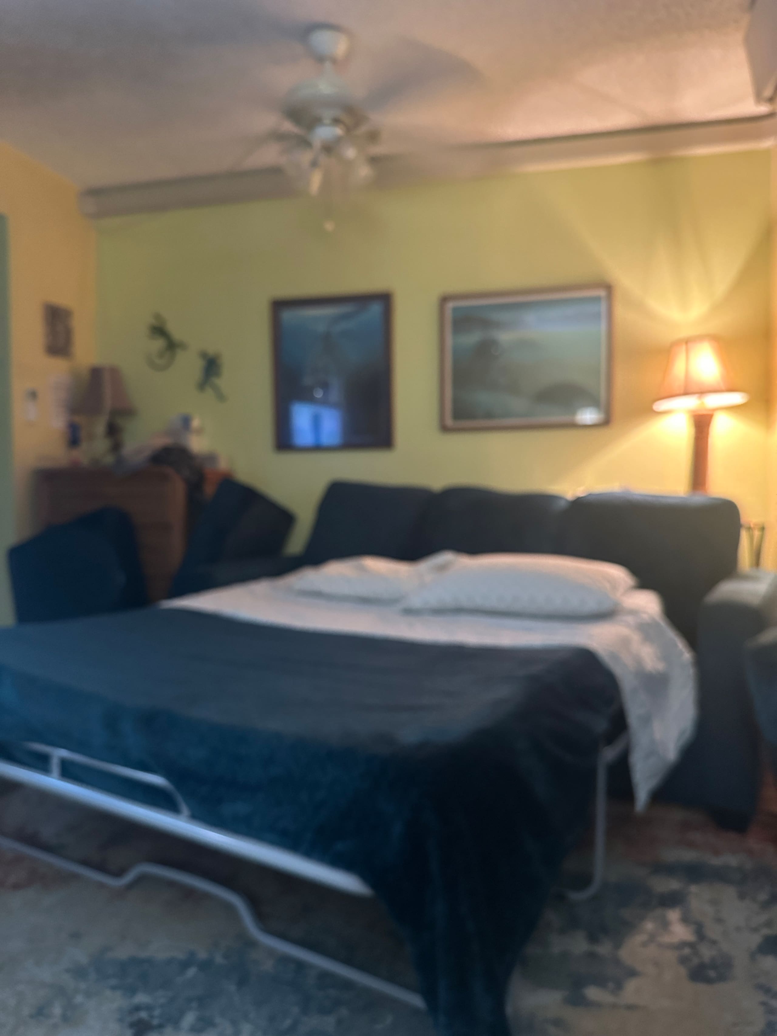 In Town ALII ,Oceanview, 1 bdrm Ironman Kona Plaza - Image 21