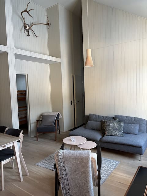 Modern apartment 50 meters from the elevator