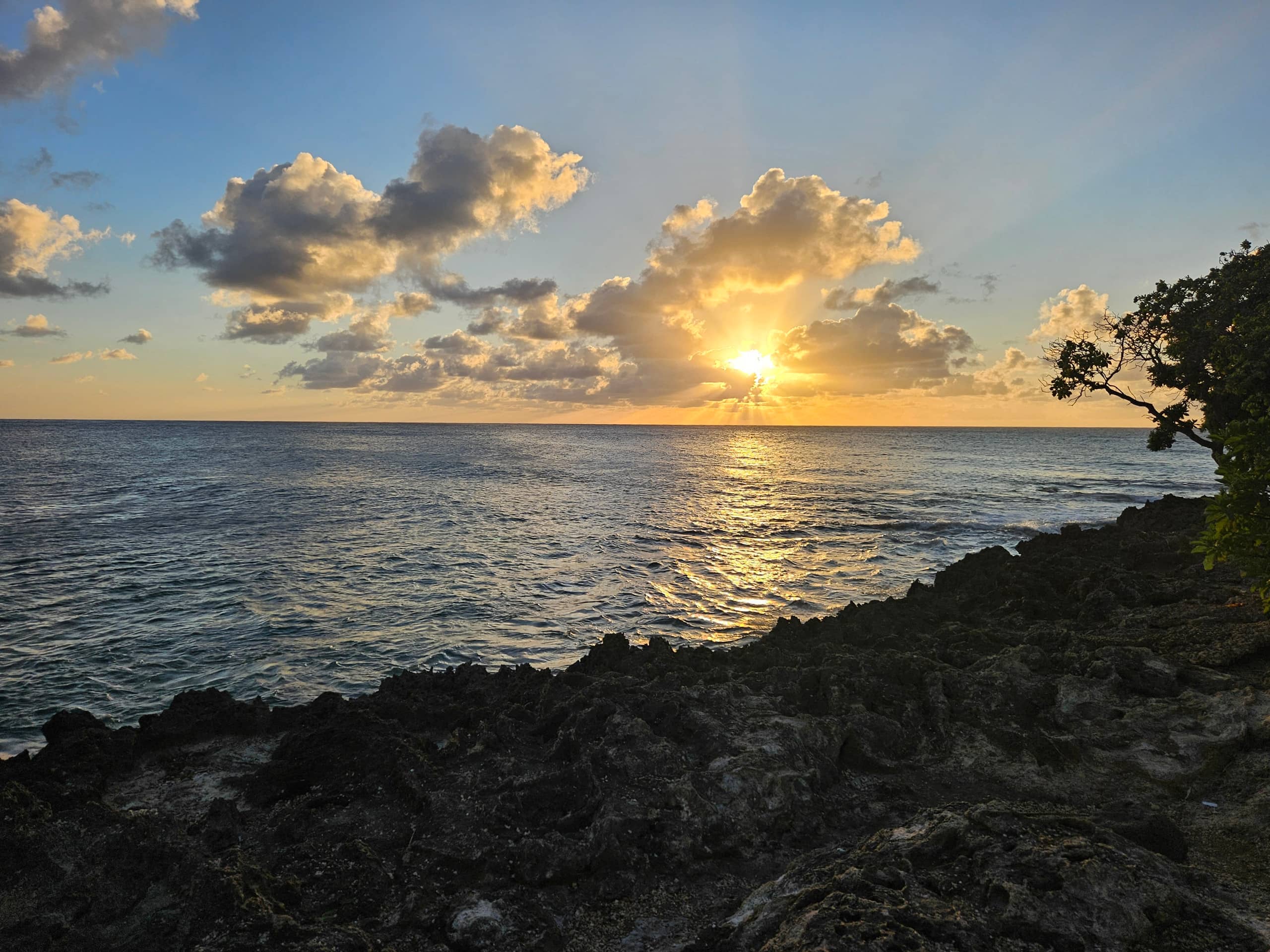 Condo in Kahuku · ★4.98 · 1 bedroom · 2 beds · 1 private bath - Image 24