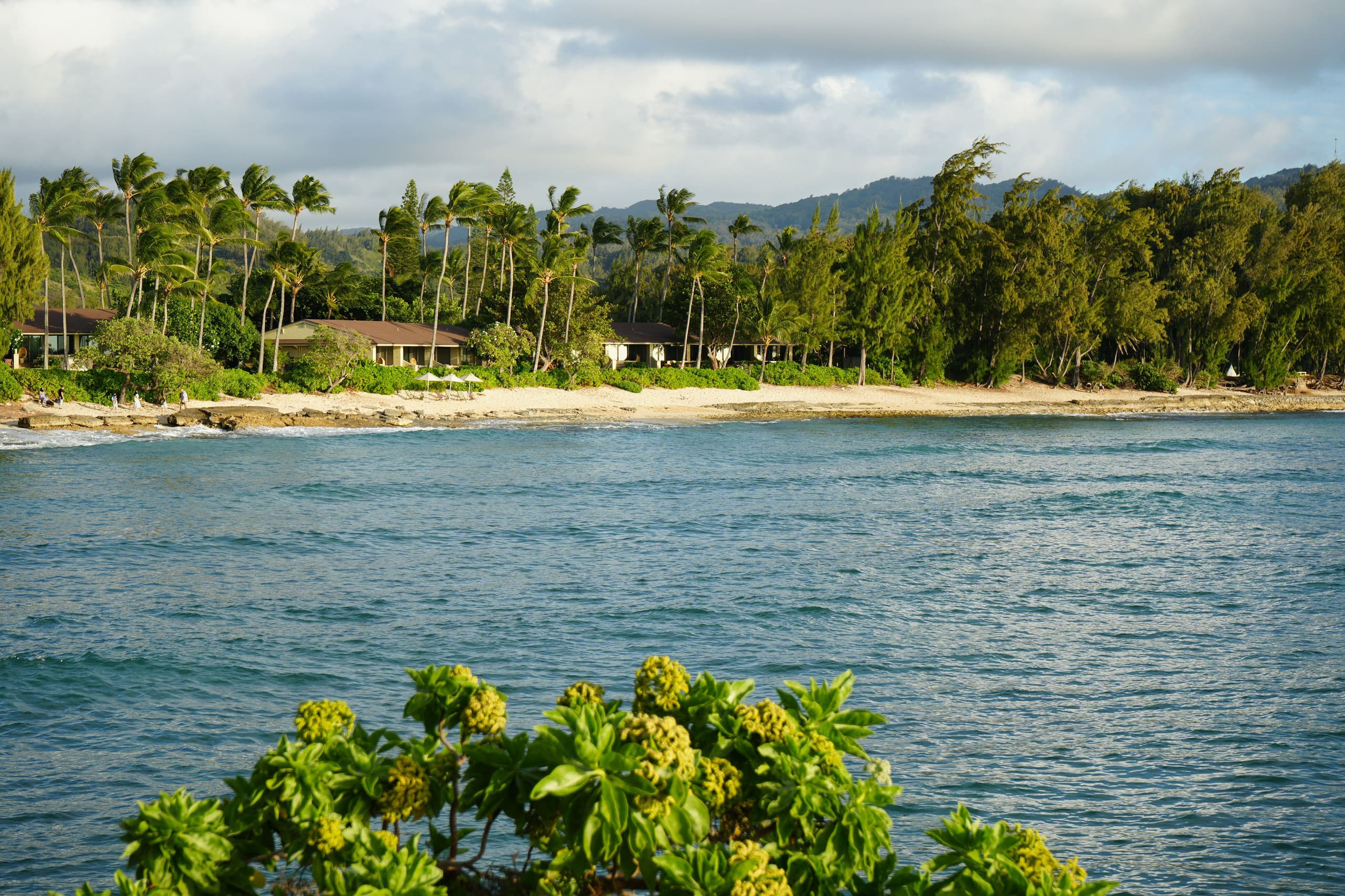 Condo in Kahuku · ★4.98 · 1 bedroom · 2 beds · 1 private bath - Image 23