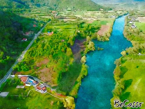 Amani Holiday Homes