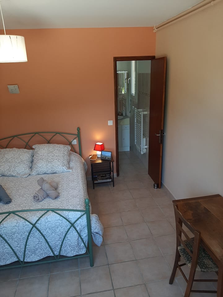 private bathroom directly connected to the bedroom 