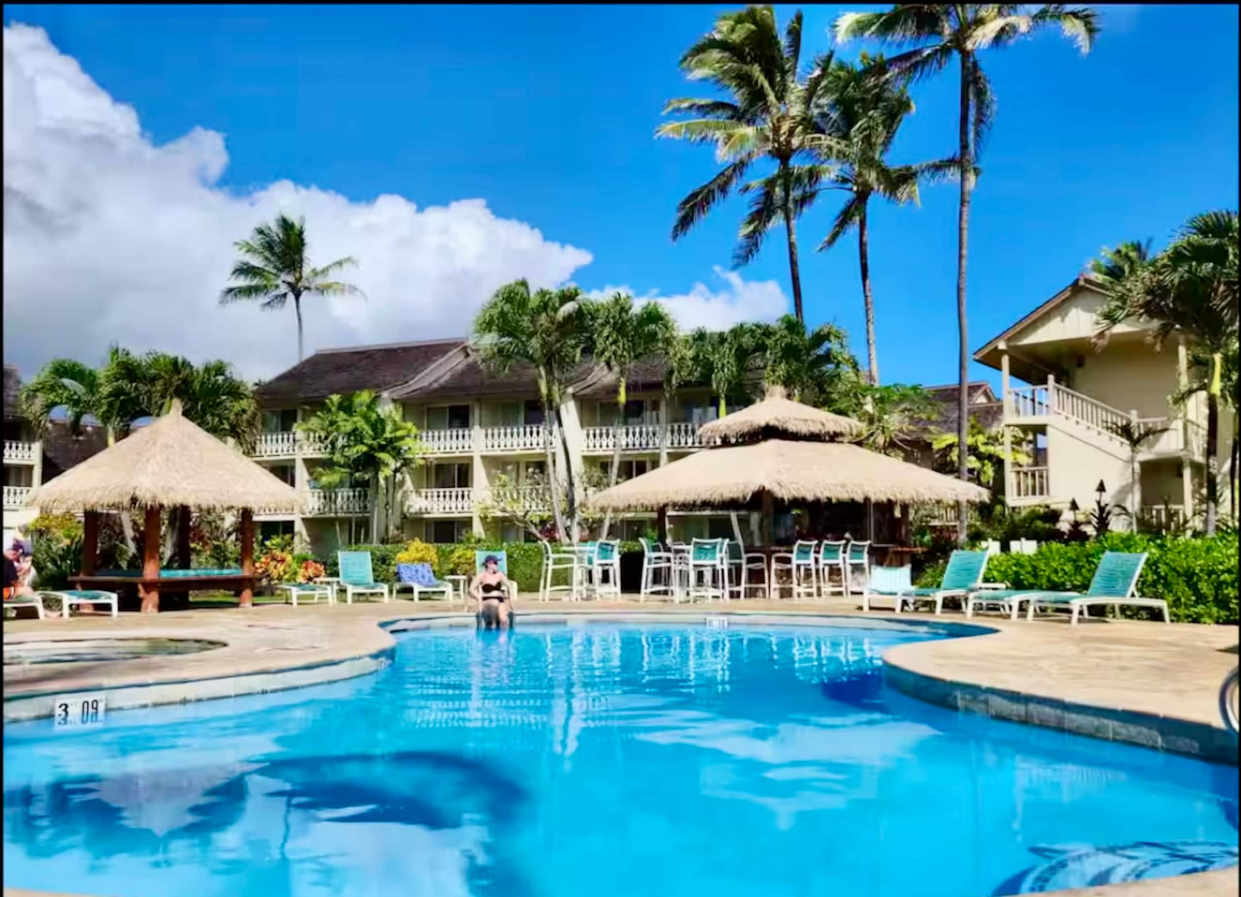 Condo in Kapaa · ★4.98 · 1 bedroom · 2 beds · 1 private bath - Image 40