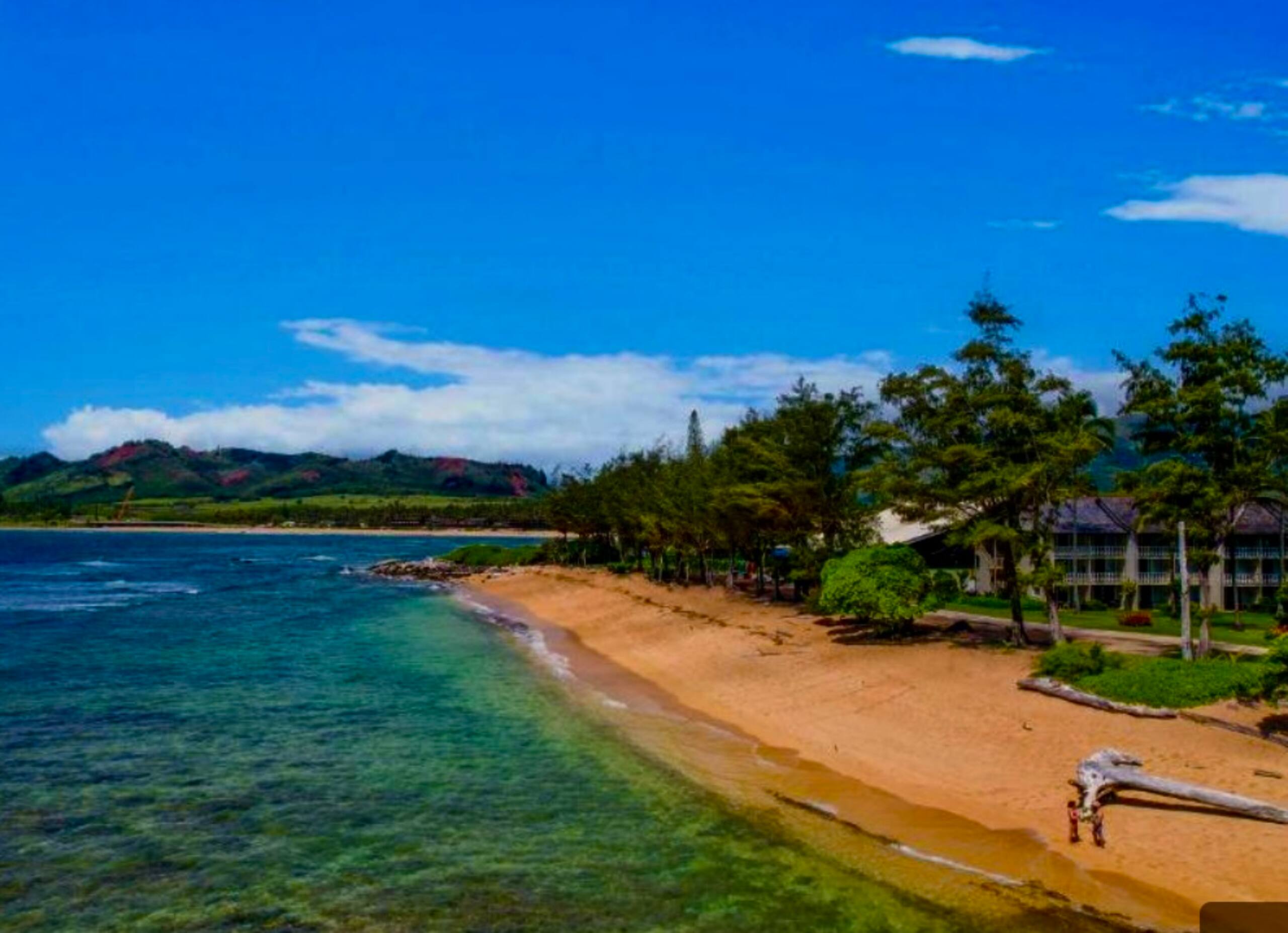 Condo in Kapaa · ★4.98 · 1 bedroom · 2 beds · 1 private bath - Image 15