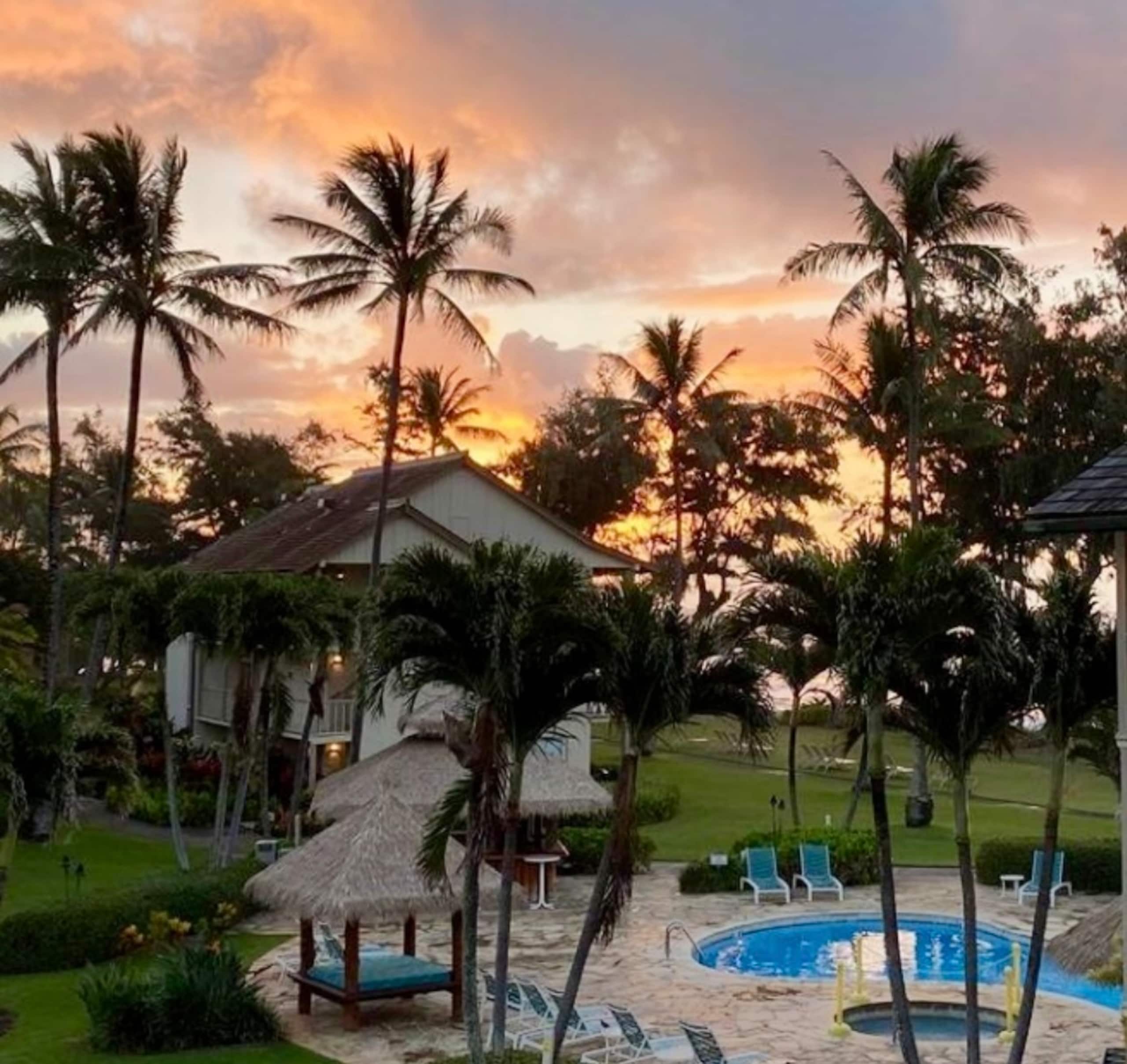 Condo in Kapaa · ★4.98 · 1 bedroom · 2 beds · 1 private bath - Image 3