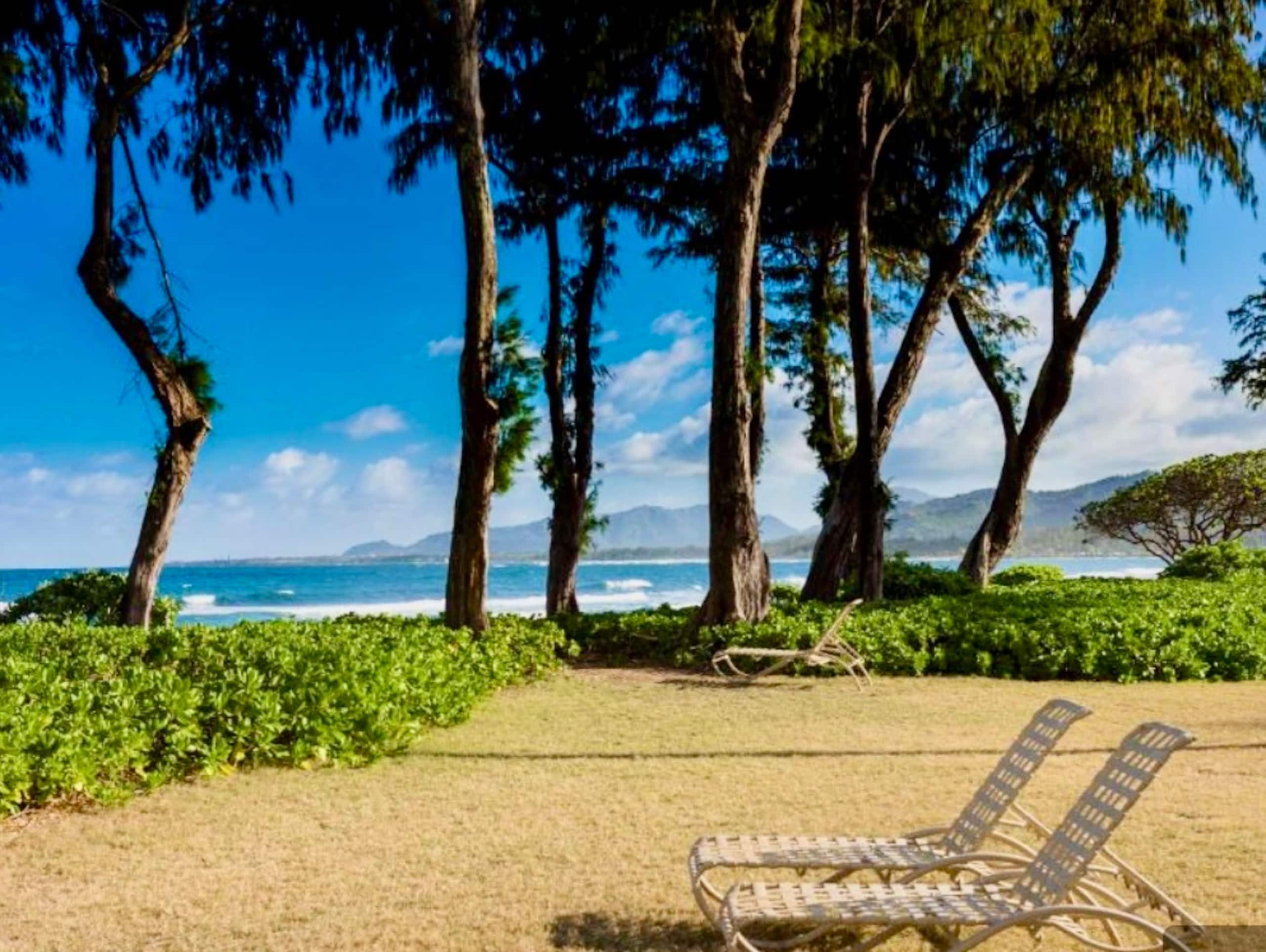 Condo in Kapaa · ★4.98 · 1 bedroom · 2 beds · 1 private bath - Image 16