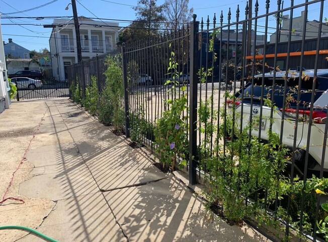 Historic 5 BR Home In Lower Garden, Close to DT gallery image 4