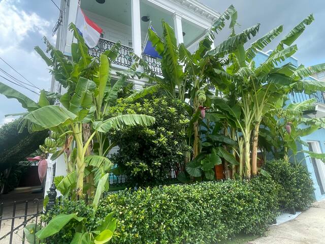 Historic 5 BR Home In Lower Garden, Close to DT gallery image 2