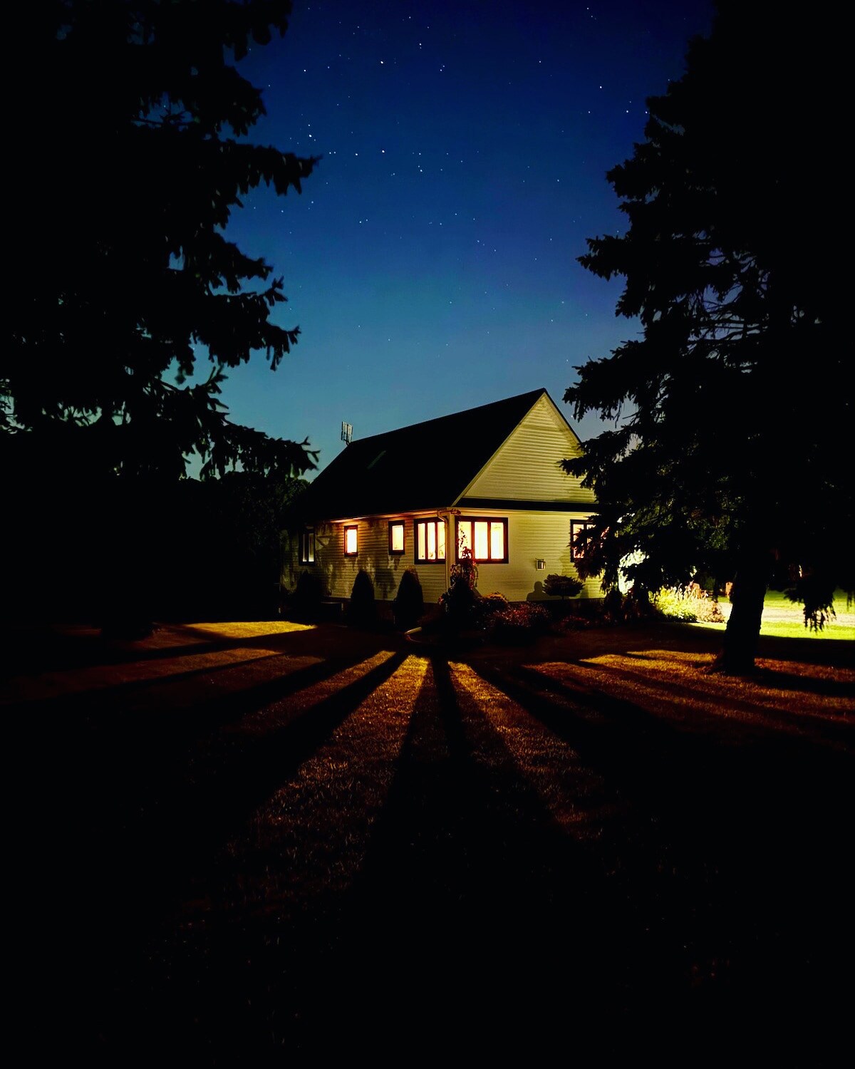 A cottage is softly illuminated at night, with warm light spilling from its windows. Tall trees surround the structure, casting long shadows across the grassy ground under a clear, starlit sky.