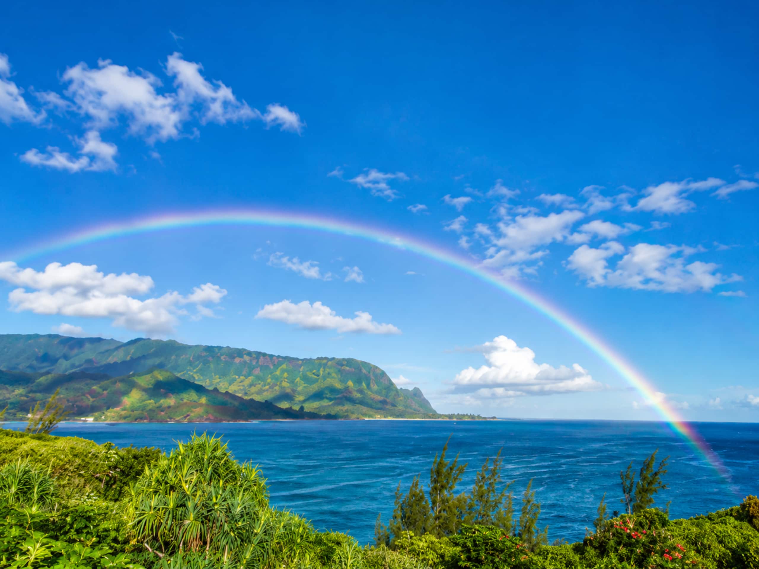 Condo in Princeville · ★4.93 · Studio · 1 bed · 1 bath - Image 24