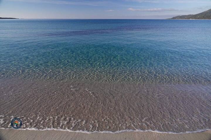 Bel Appartement, T2 Tout éQuipé, Plage D'agosta - Corsica