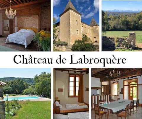 Château de Labroquère - ideal for families - charming