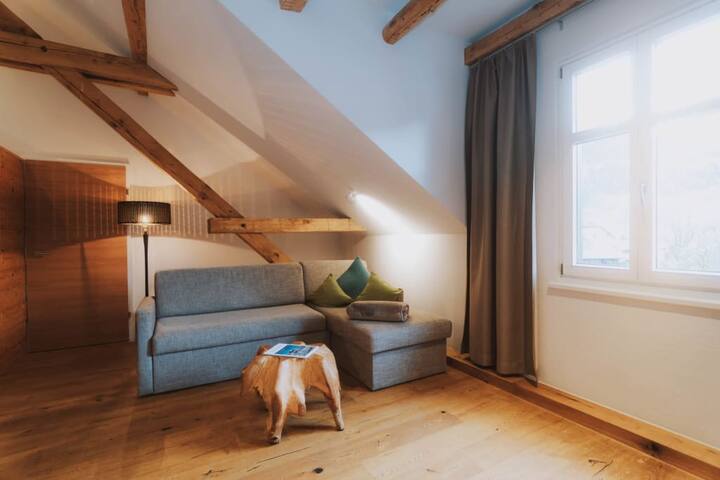 Adler Alpen Apartments Apartment Edelweiß Top 21 - Montafon