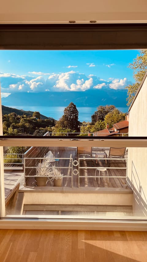 Modern house in wine yards of Lavaux - view lake