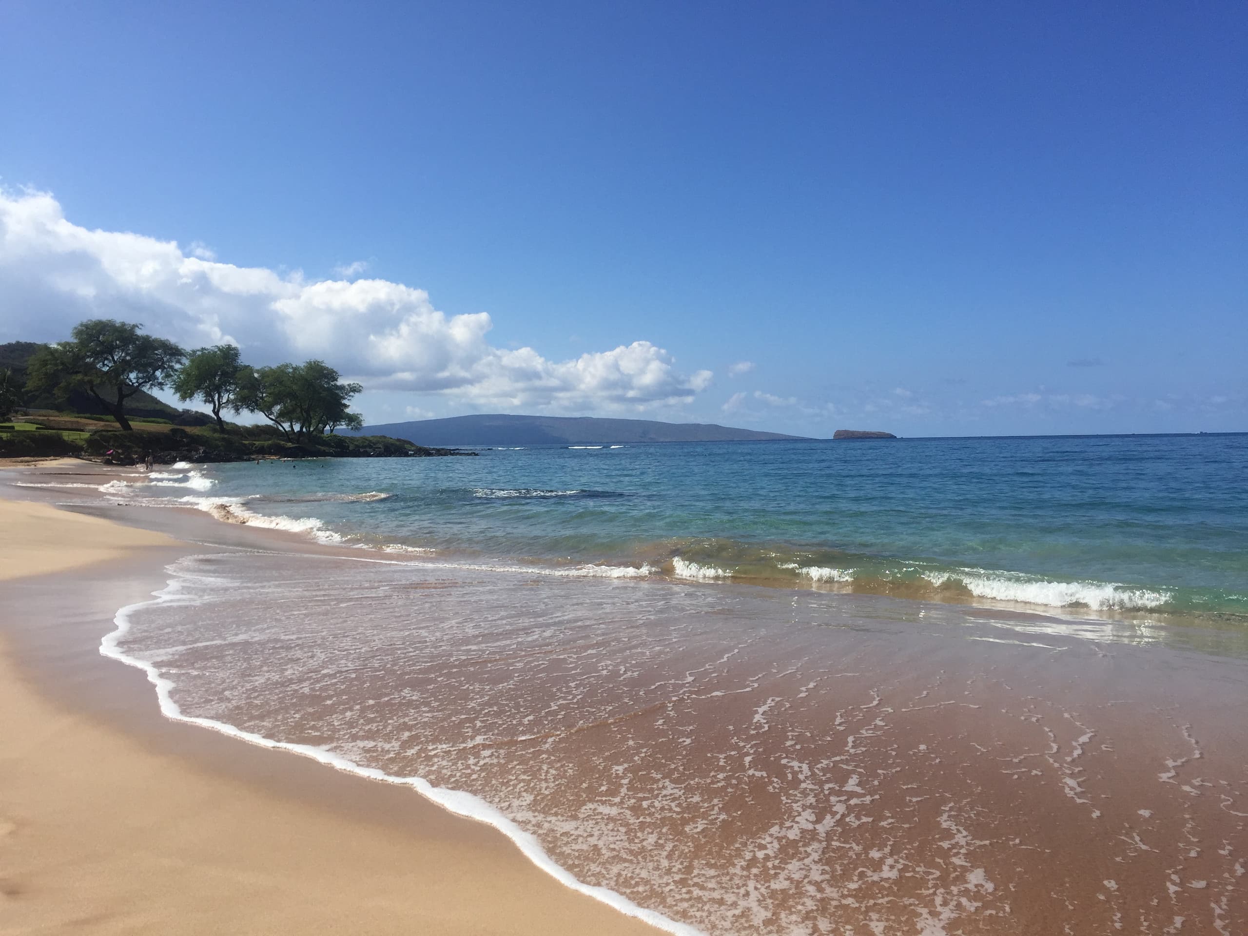 Condo in Kihei · ★4.95 · 1 bedroom · 1 bed · 1 private bath - Image 41