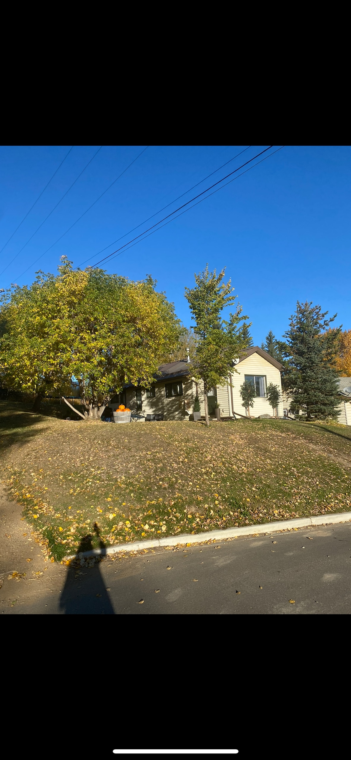 A charming house sits on a gentle slope, surrounded by a colorful display of autumn foliage. The clear blue sky serves as a backdrop to the residential setting, with pathways leading to the entrance, indicating easy access for visitors.