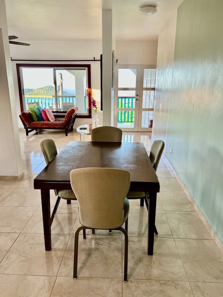 Furnished 2 Bedroom 2 Bath Apt #1 - Saint John