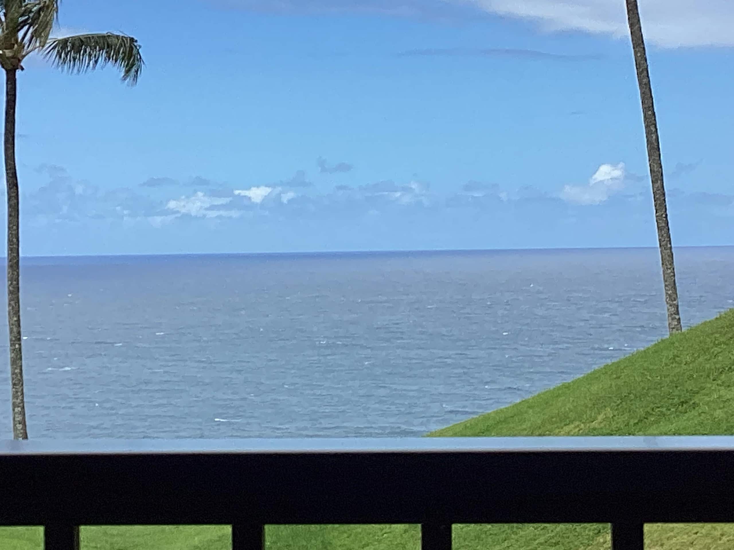 Condo in Princeville · ★4.44 · 1 bedroom · 1 bed · 1 bath - Image 5