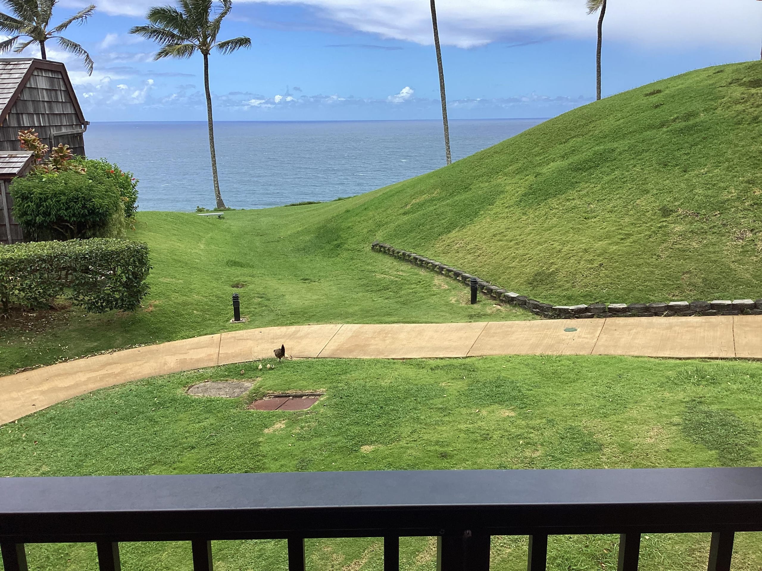 Condo in Princeville · ★4.44 · 1 bedroom · 1 bed · 1 bath - Image 1