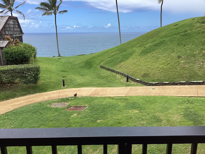 Cute, Cozy, Perfect For 2 - Ocean View Retreat - Kauai, HI