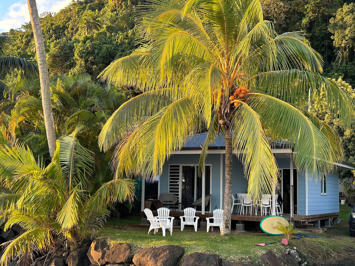 A charming bungalow is nestled among tropical greenery, with a large palm tree providing shade. Adirondack chairs are arranged outdoors, inviting relaxation. A surfboard rests nearby, hinting at aquatic activities. The setting is tranquil, surrounded by nature and facing the sea.
