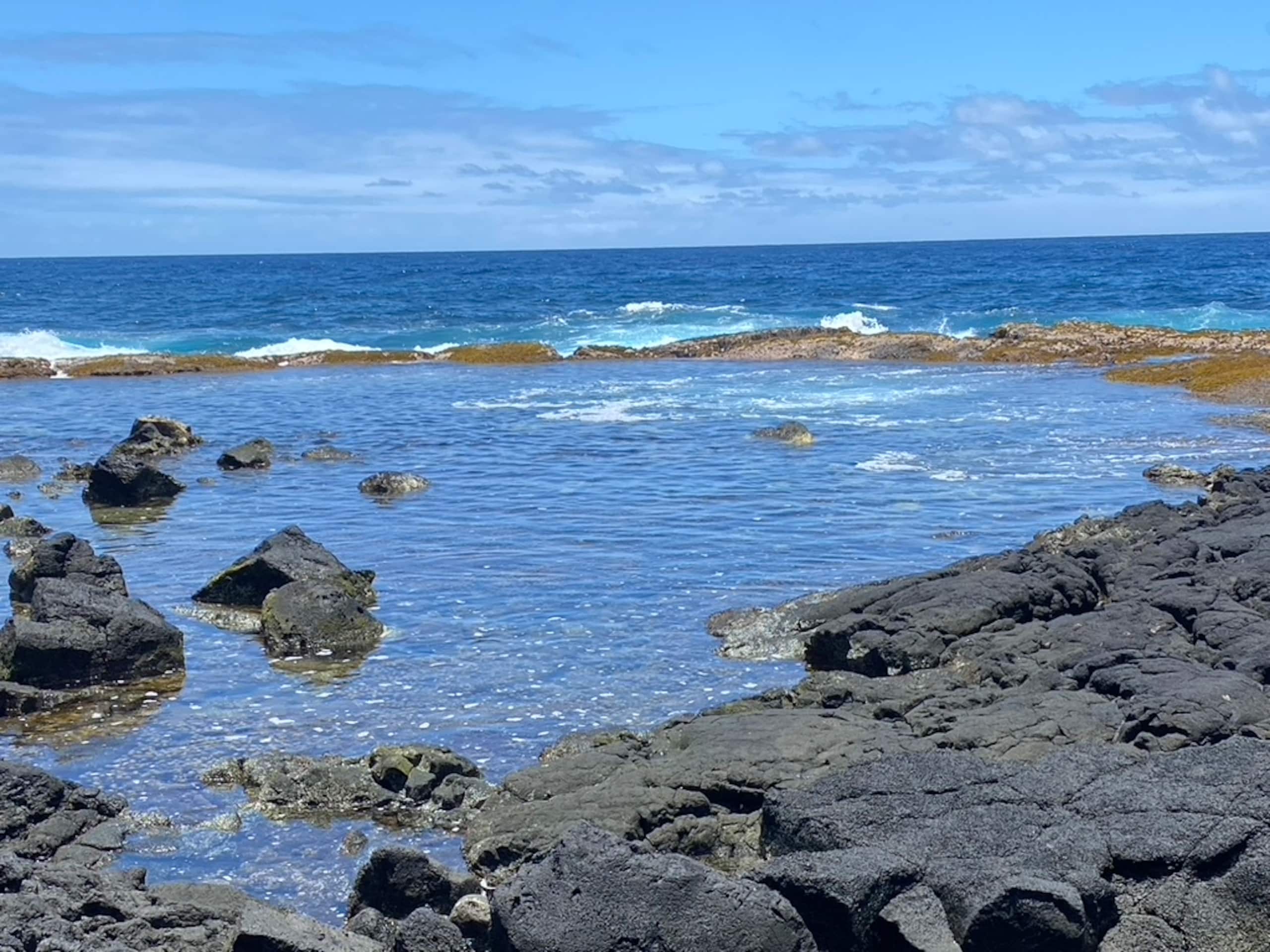 Home in Keaau · ★4.95 · 2 bedrooms · 3 beds · 1 bath - Image 93