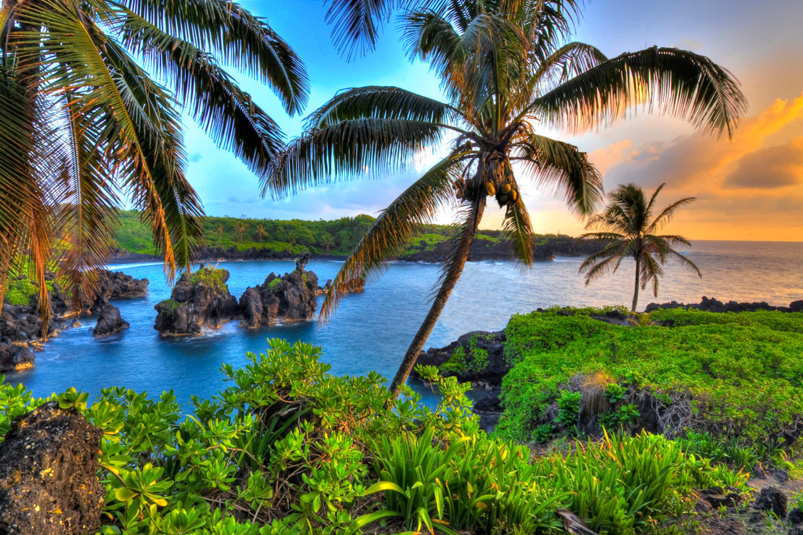 Condo in Wailuku · ★4.9 · 1 bedroom · 2 beds · 1 bath - Image 25