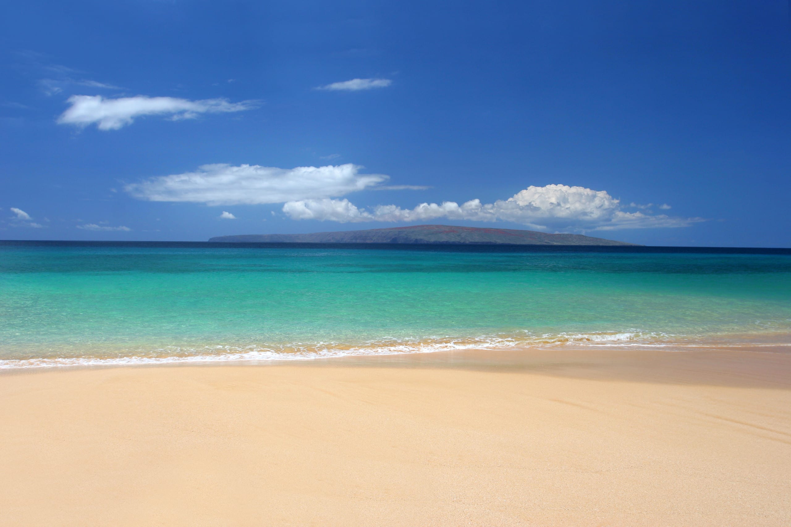 Condo in Wailuku · ★4.9 · 1 bedroom · 2 beds · 1 bath - Image 33