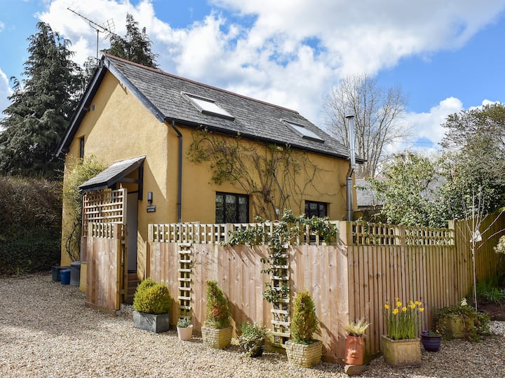 Barn Court Cottage - Devon