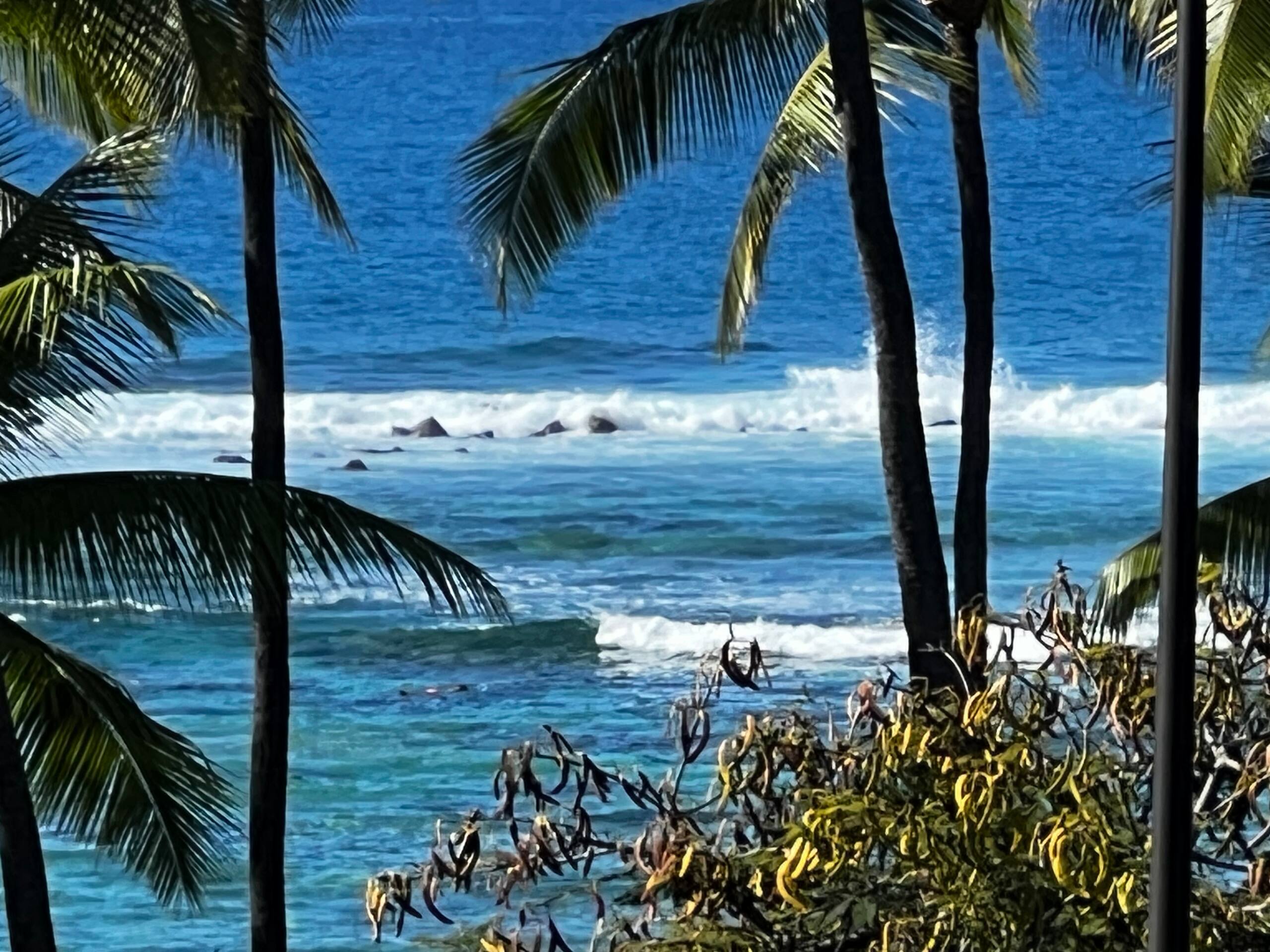 Condo in Kailua-Kona · ★4.94 · 2 bedrooms · 2 beds · 2 baths - Image 20