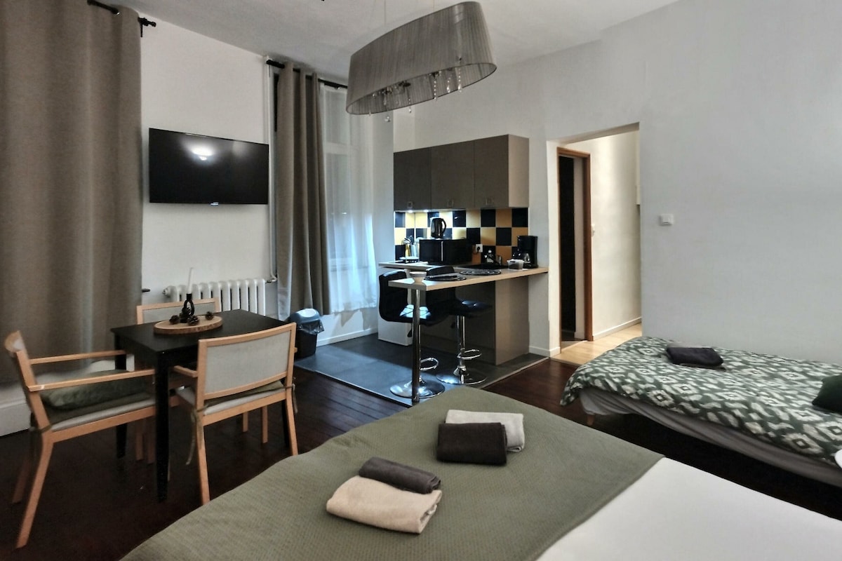The room features a spacious layout with a double bed and a single bed. A dining area with two chairs and a table is present. A kitchenette with modern appliances is visible, along with a flat-screen television mounted on the wall. Natural light enters through the window, covered by light curtains.