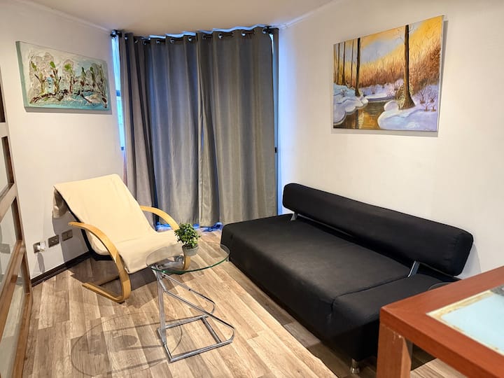 Equipado Departamento En Barrio Bellas Artes - チリ