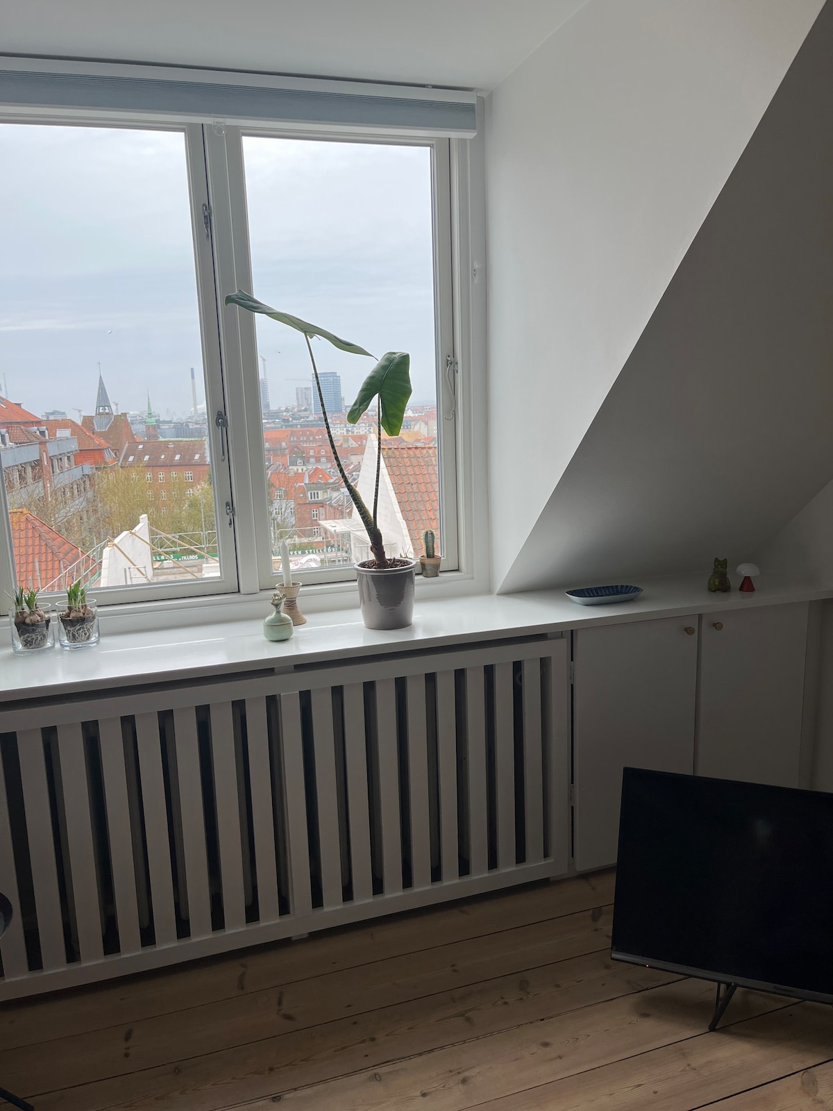 A corner of the room features a large window with a plant placed on the sill, offering views of the rooftops of Aarhus. A small TV is positioned on a shelf beneath the window, and wooden flooring is visible throughout the space.