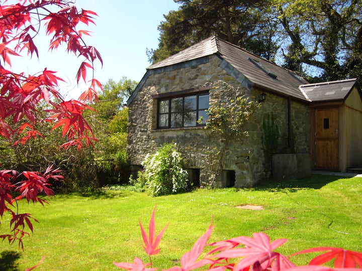Tamar Orchard Barn - Tavistock