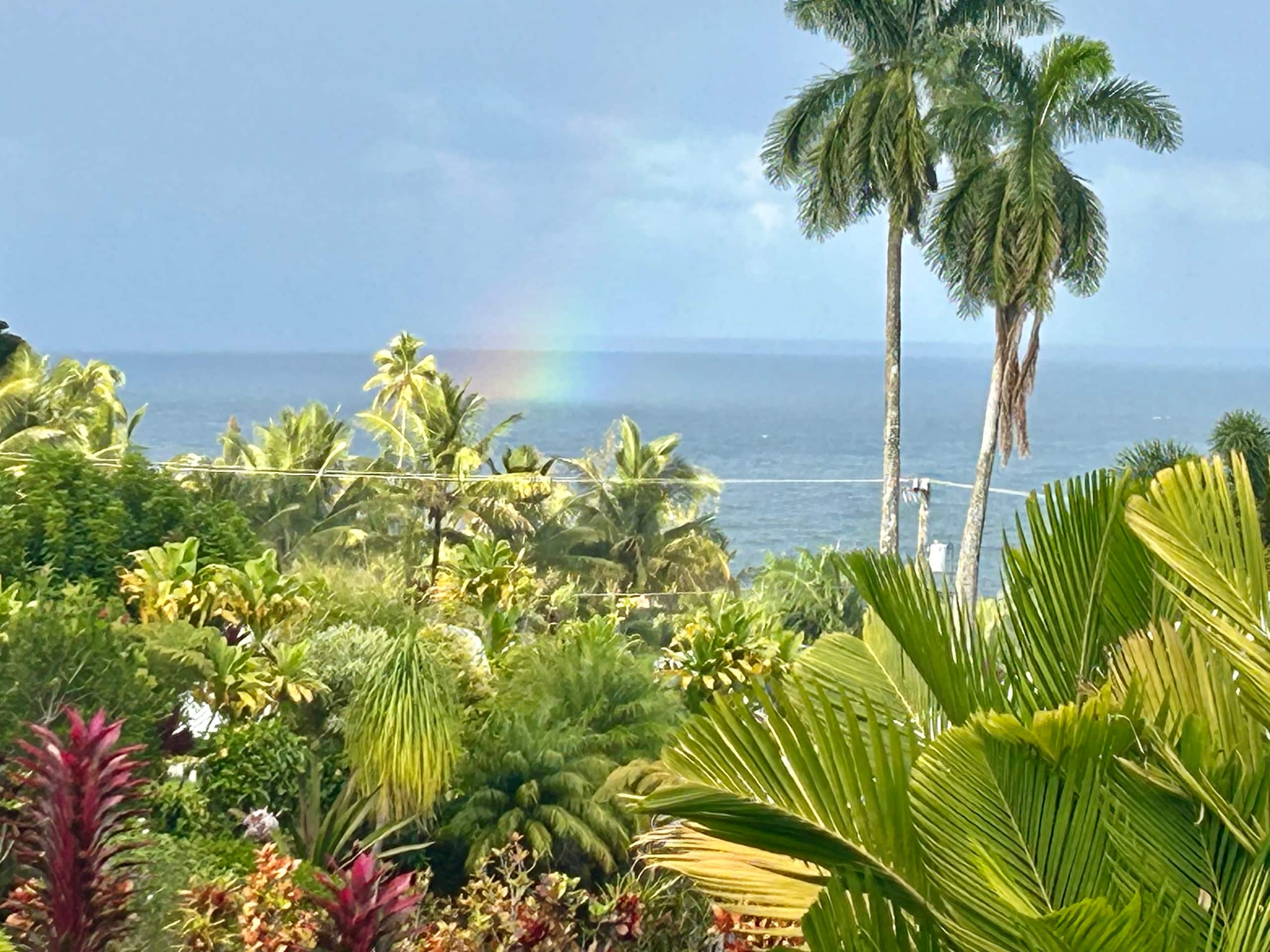 Private Studio short walk to Hakalau Beach Hamakua - Photo 18