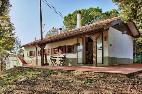 Podere Riosto Wine Guest-Villetta Medoro