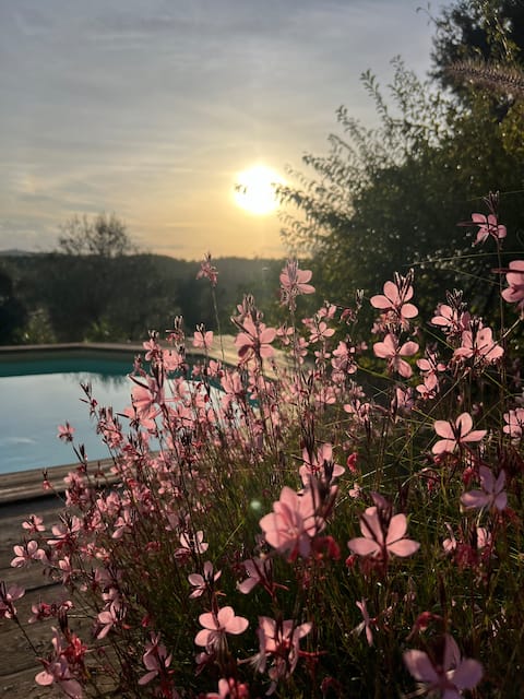 Top Airbnb: Relaxation and charm in the Chianti hills a Greve In Chianti