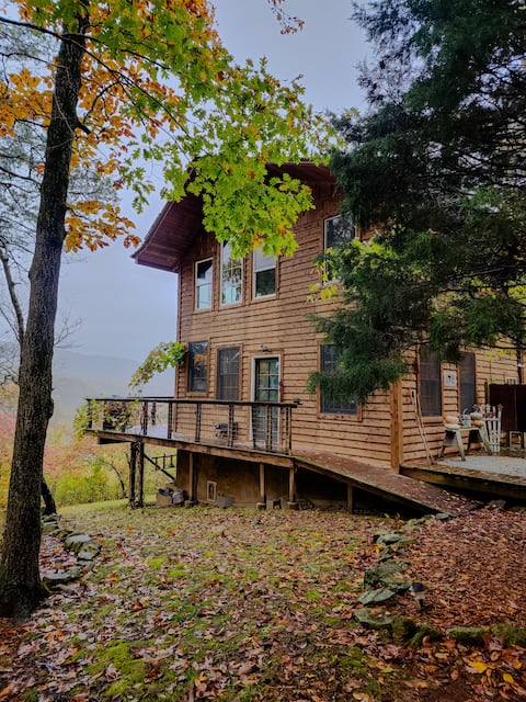 Boxley Birdhouse Cabin in the Trees