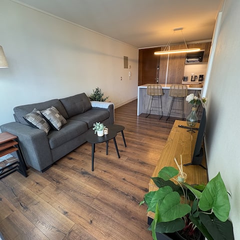 Successful Airbnb property: Luxury apartment, Parque Arauco, Ski, Las Condes in Las Condes