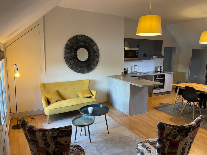 Joli Appartement 
Vue Sur Le  Château Et La Loire - Saumur