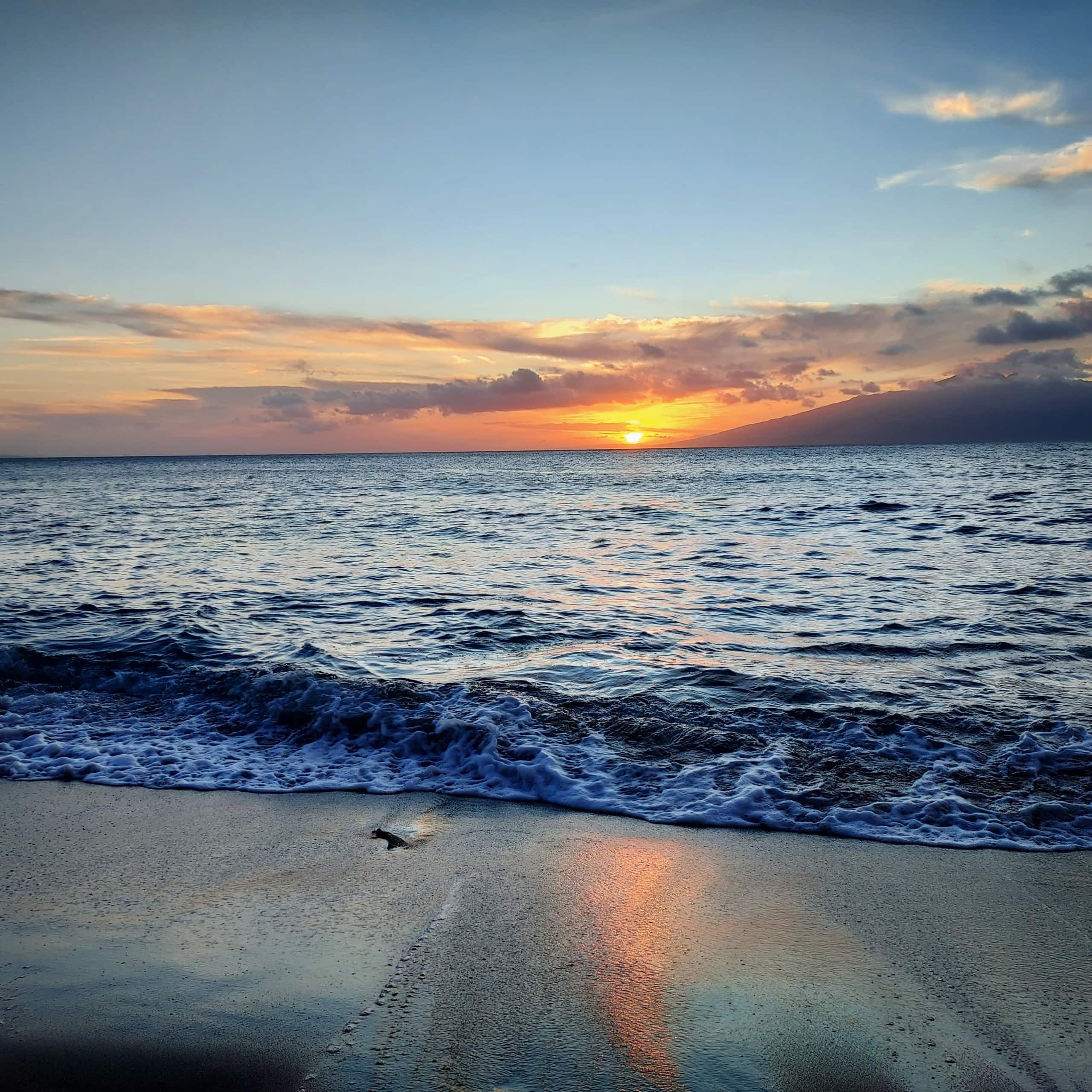 Condo in Lahaina · ★4.96 · 1 bedroom · 1 bed · 1 bath - Image 49