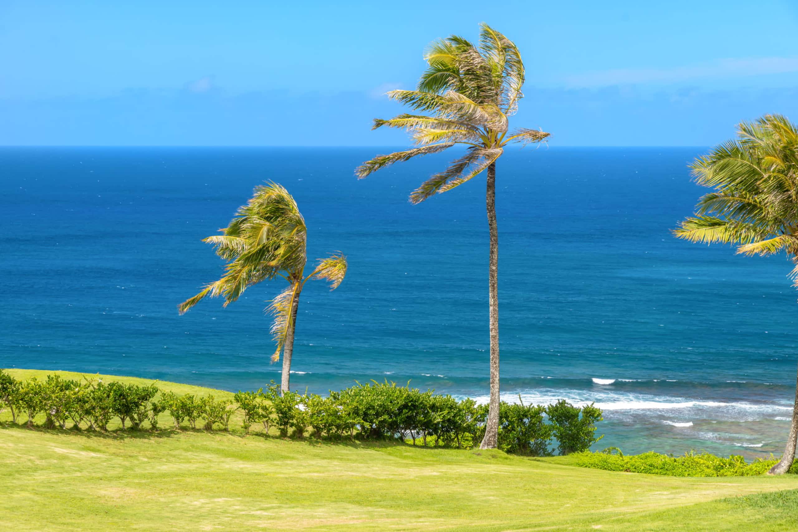 Ocean and Mtn View Paradise+ Steps to Beach Trail - Image 34