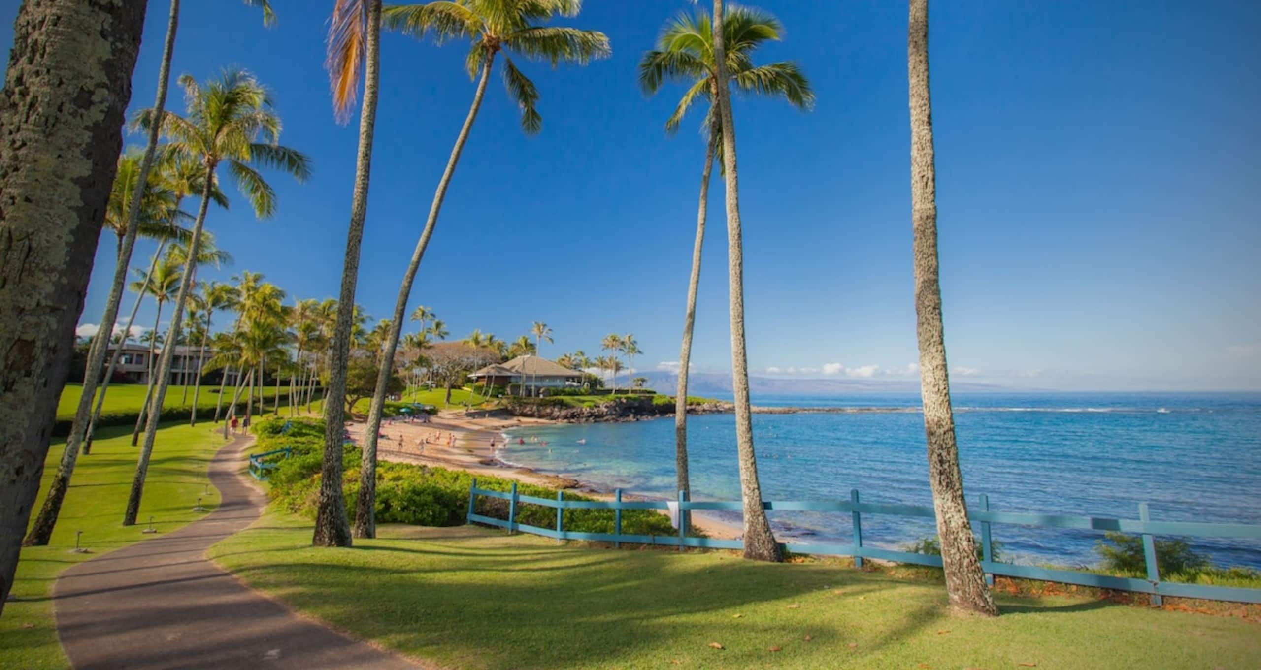 Villa in Lahaina · ★4.92 · 1 bedroom · 2 beds · 1.5 baths - Image 66