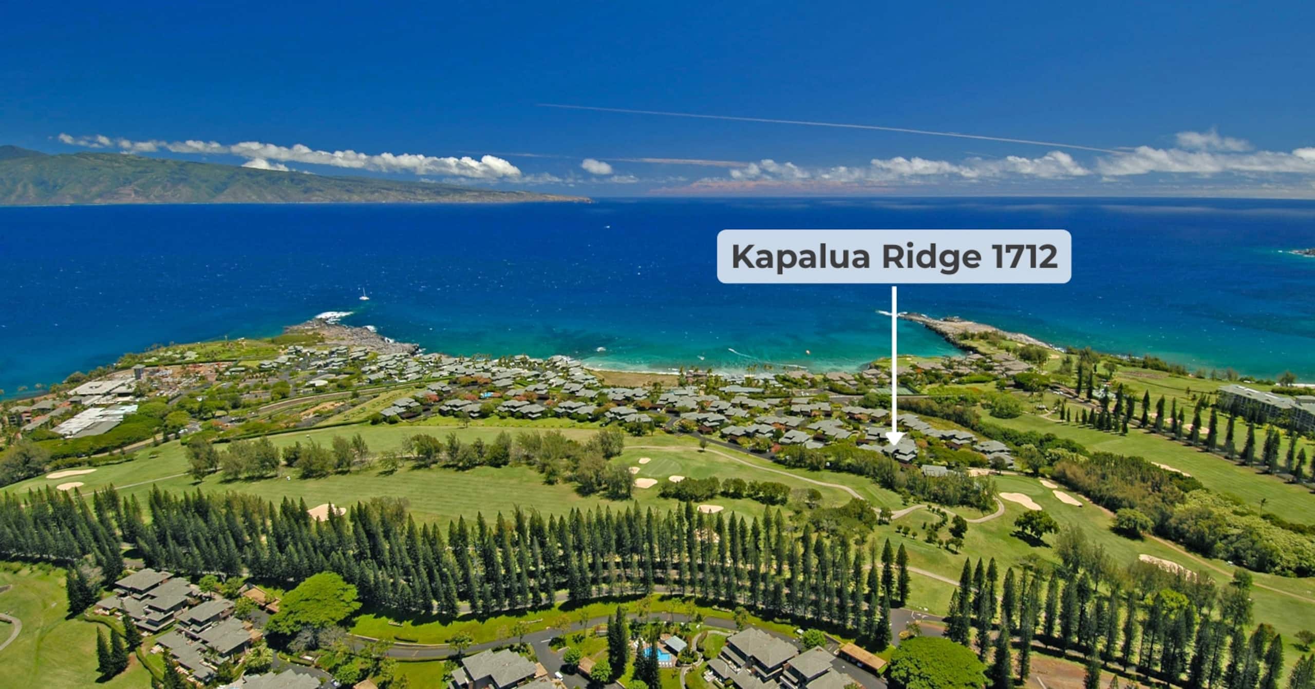 Villa in Lahaina · ★4.92 · 1 bedroom · 2 beds · 1.5 baths - Image 81