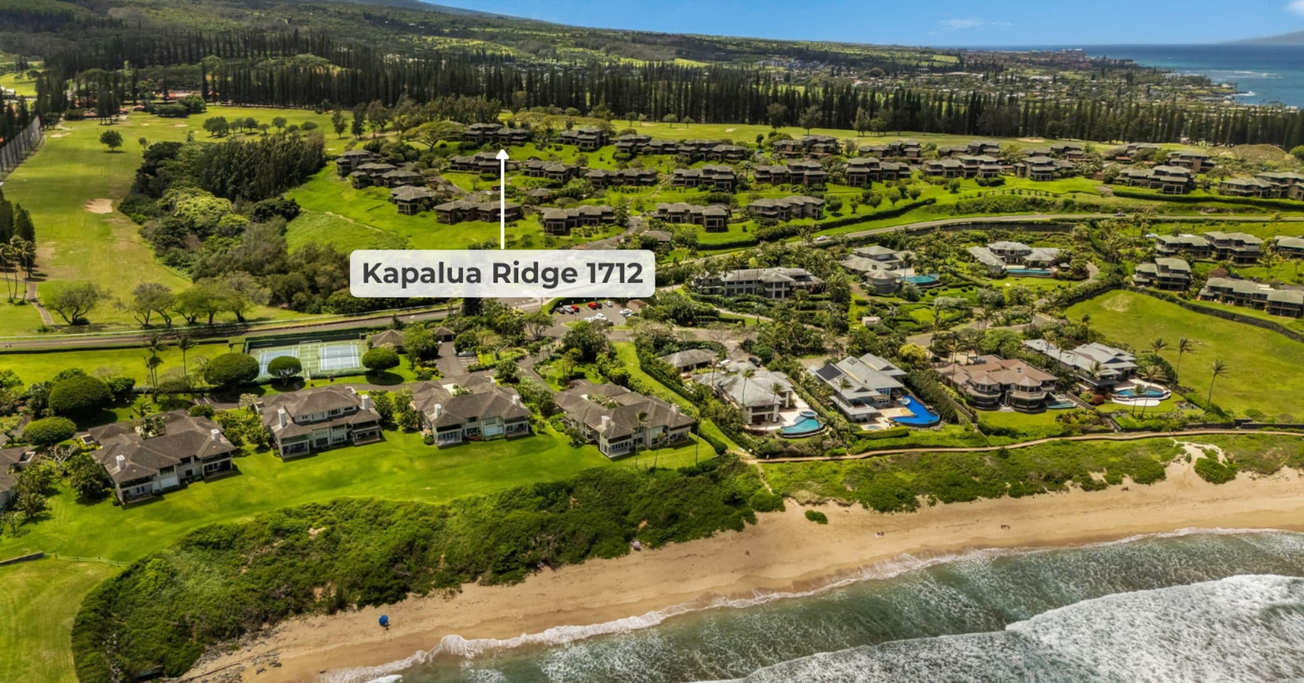 Villa in Lahaina · ★4.92 · 1 bedroom · 2 beds · 1.5 baths - Image 100